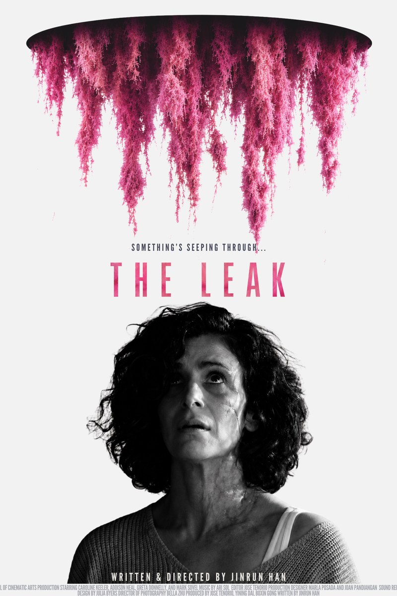The Leak